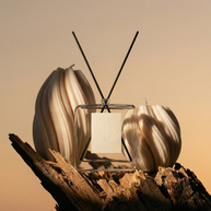 Rituel Signature Eight-Paris