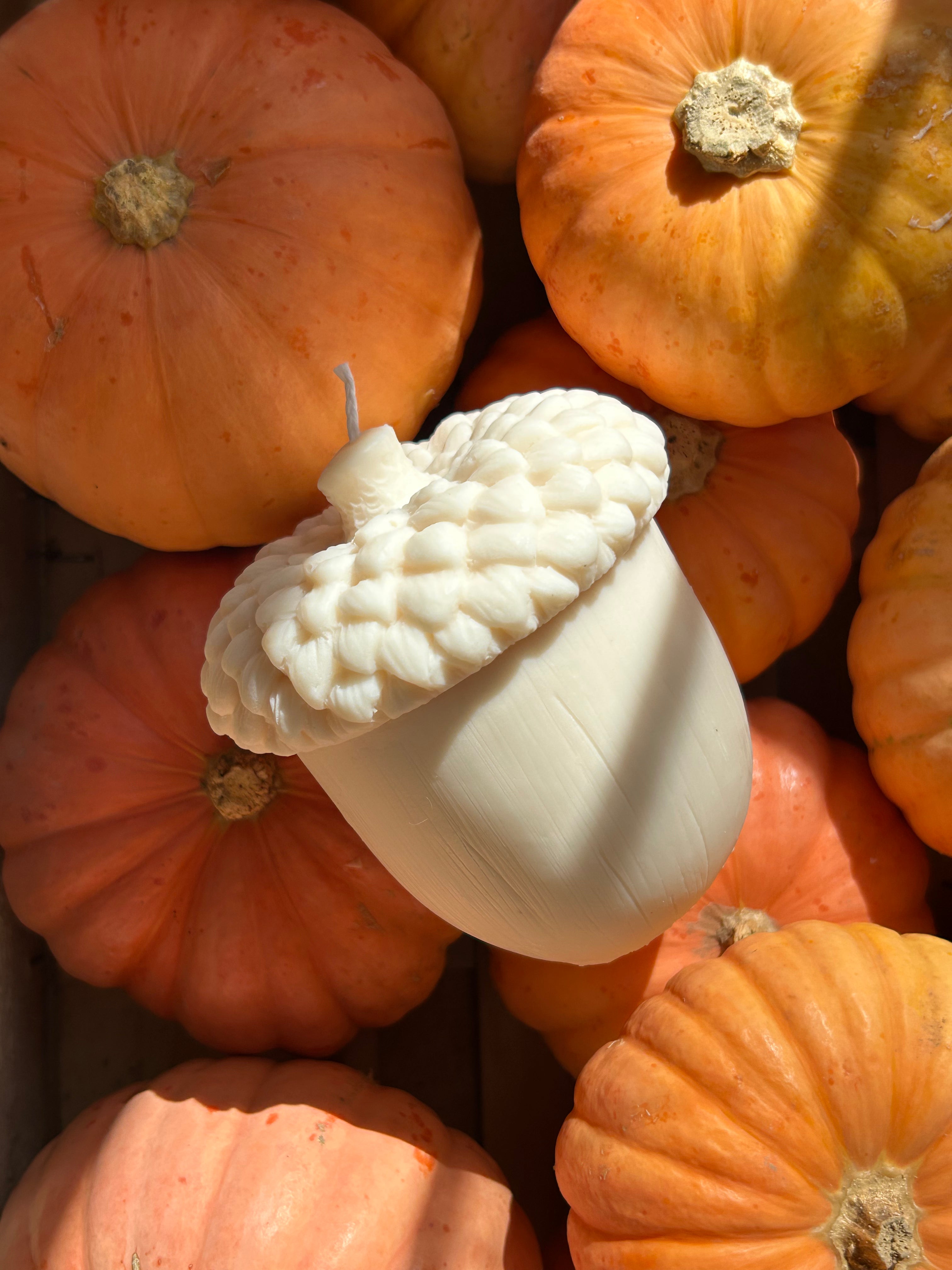 La collection d'Automne