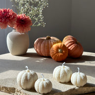 La collection d'Automne